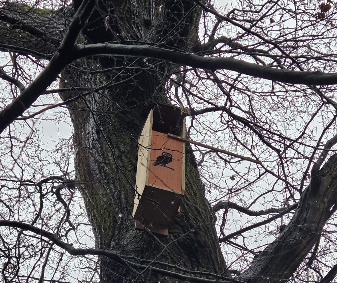 Owl Boxes (hoot-el)